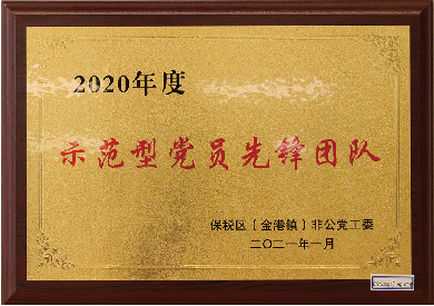 示范型黨員先鋒團隊