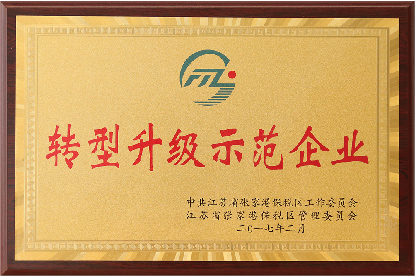 轉(zhuǎn)型升級示范企業(yè)